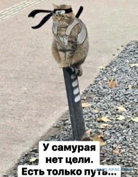 Новый год в центре Москвы превратился в настоящий хаос