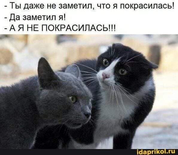 Картинки и мемы для настроения  -  9