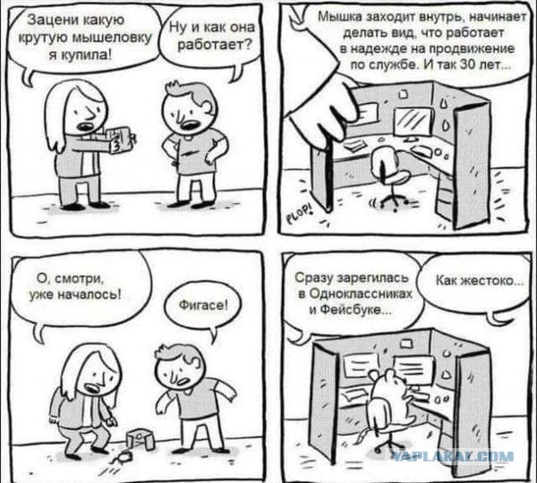 Пятница. Вечер. Картинки всякие... #3