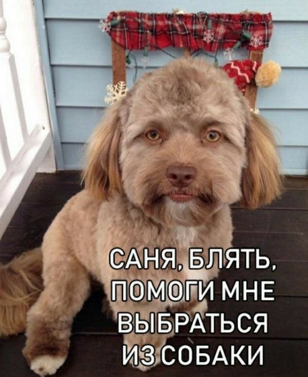 Прикольные и просто красивые картинки 04.11.2022