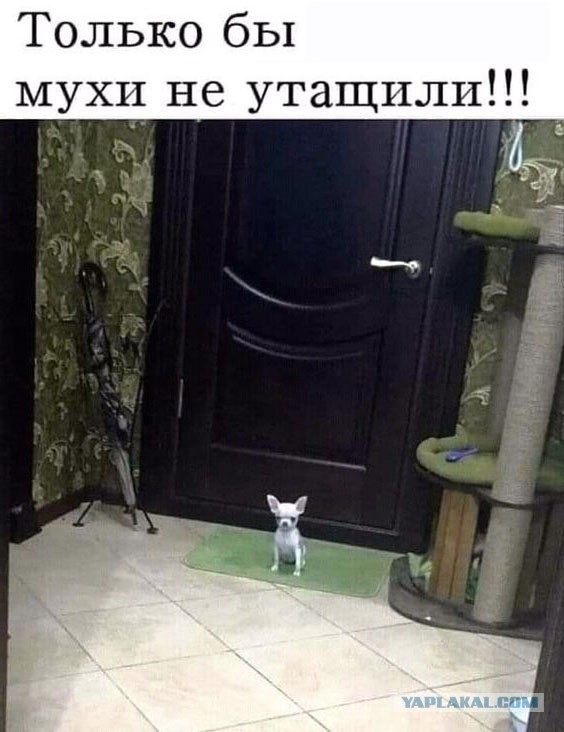 С*ки, куда вы меня тащите