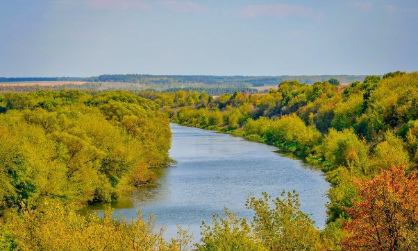 На пляжах Анапы закончились не только лежачие, но и сидячие места. Загорать там можно только стоя