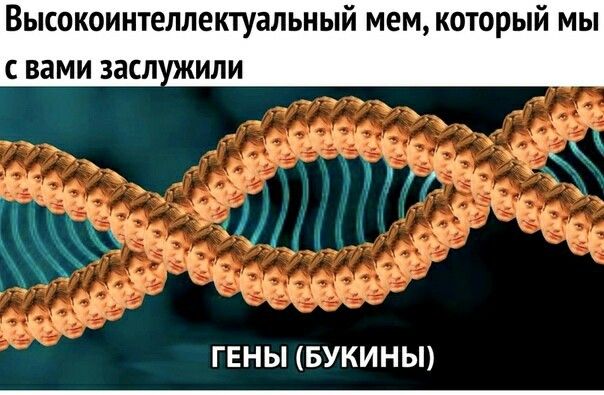 Баяны разной степени давности.