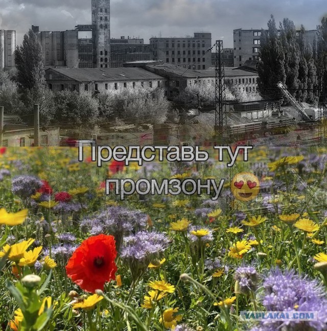 Всего понемногу. От 08.04.2024