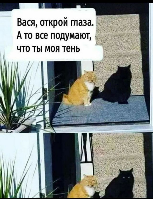 Завалялось тут случайно немного забавных картинок