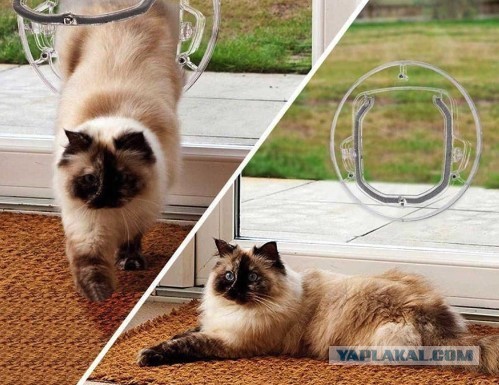 КотоТуалет
