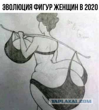 Весёлые картинки 2