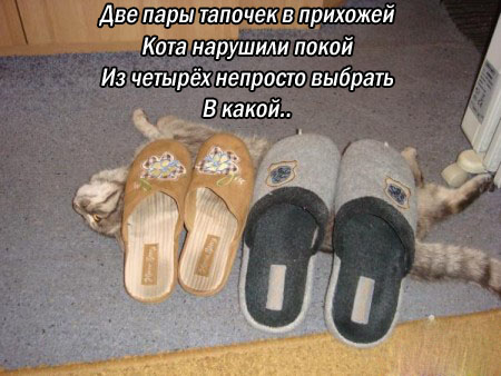 К котовторнику: подборка картинок-баянов с котиками и про котиков. Выпуск 5