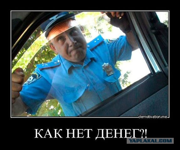 На дороге работает быдло.