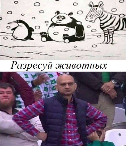 Веселое настроение в картинках (25.07.2025)