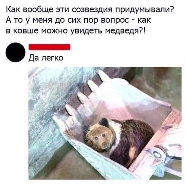 Картинки среды