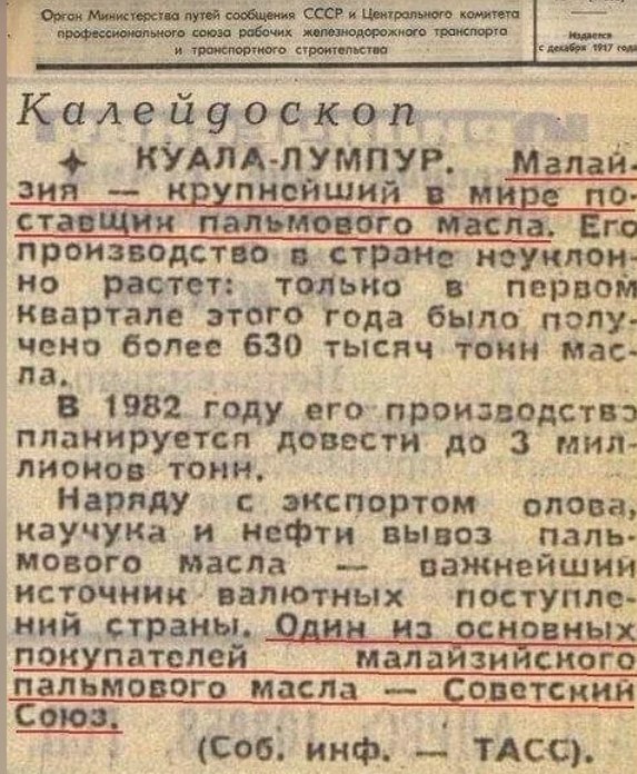5 мифов о пальмовом масле, в которые многие верят. А зря