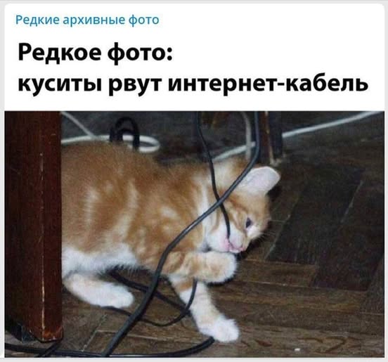 Картиночки, баянчики 8 марта