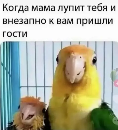 Картиночки, баянчики 18 марта