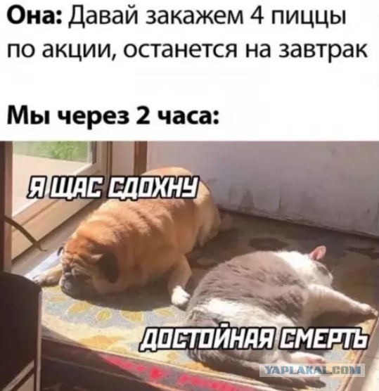 Картиночки, баянчики 22 марта