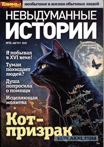 Собеседование
