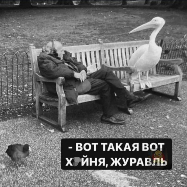 Так себе картинки 05.07.26