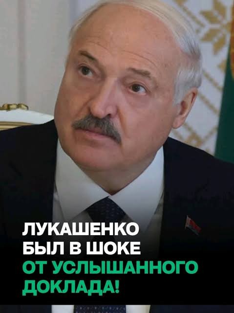 Россия сократила импорт китайского картофеля в 2,5 раза
