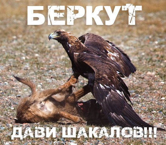 Киев. Новые столкновения демонстрантов с милицией