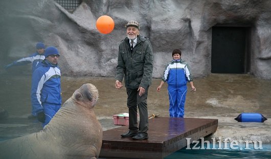 Николай Николаевич Дроздов в Ижевском зоопарке