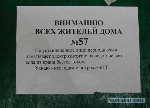 V Nashem Dome Poselilsya Zamechatelnyj Sosed Bez Politiki Hodor