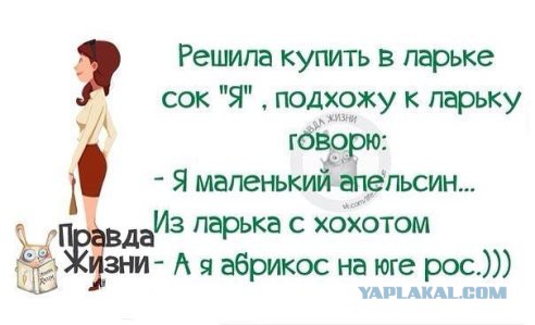 Смешные комментарии из социальных сетей 11.11.2014