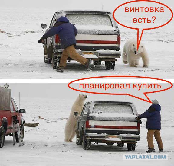 Весёлое из сети