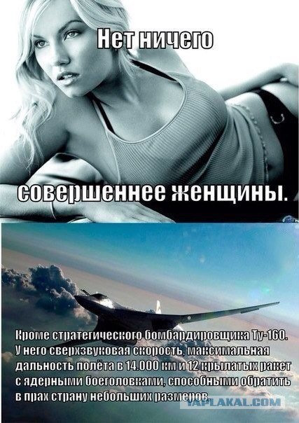 Мастера своего дела