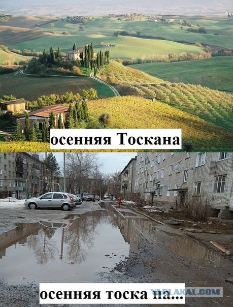 Обожаю игру слов