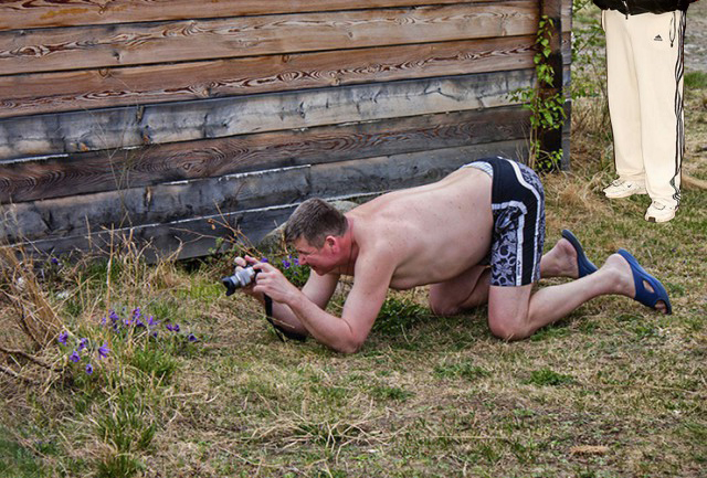 Жаба: Фотолюбитель