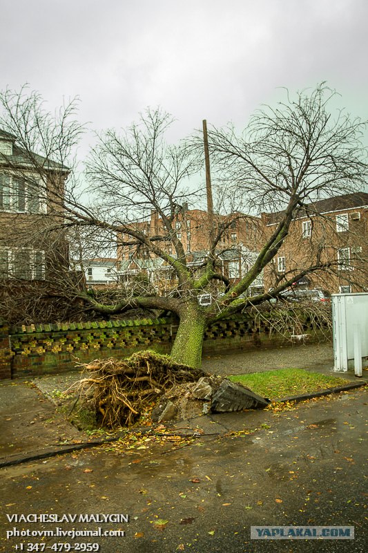 Ураган Сэнди. Конец Света начинается с США?