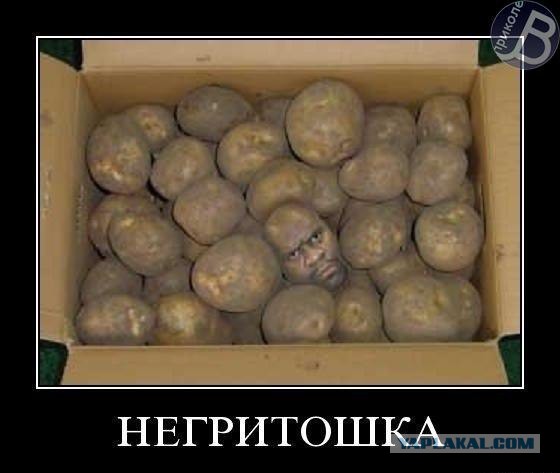 Злые шутки или минутка сарказма на ЯП-е, 16+