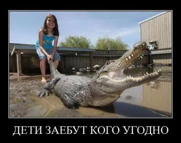 Веселые картинки