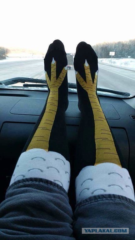 14 идей, что подарить девушке на 8 Марта