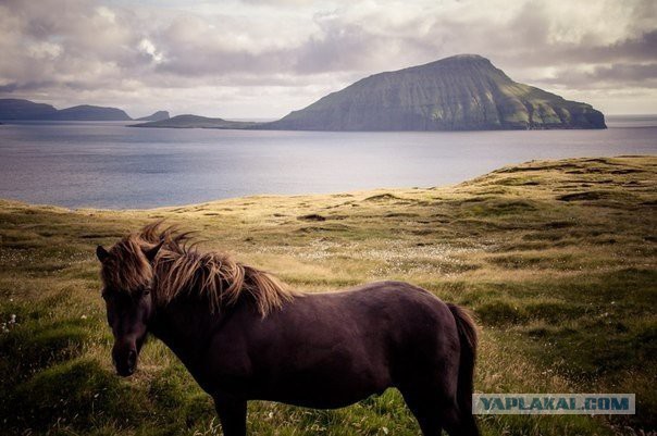 Подборка картинок 29.03.16