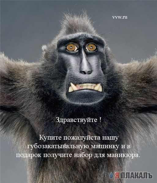 Офис в лицах (15 фото)