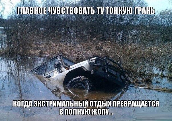 Картинки из интернетов