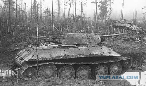Волховский фронт. 1942. Взгляд с той стороны.
