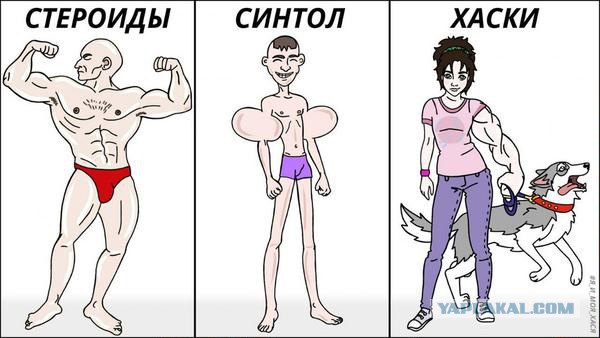 Приколы в стиле "регресс"