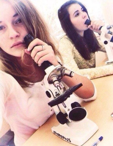 Скотсети и прочие интернеты 09.04.18