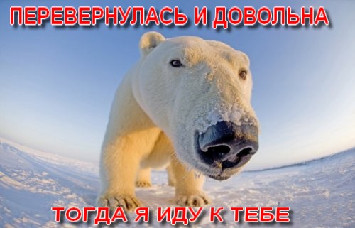 Дорогой, смотри как я хорошо на фотке получилась!