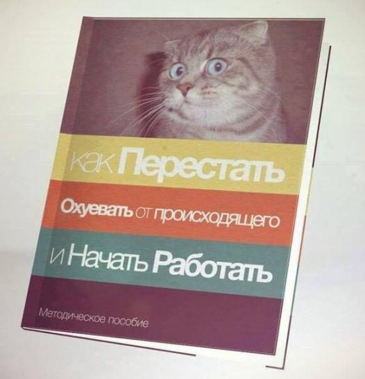В России задумали стройку в пять раз дороже Крымского моста