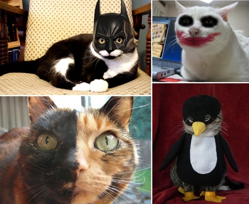 Маска для кота