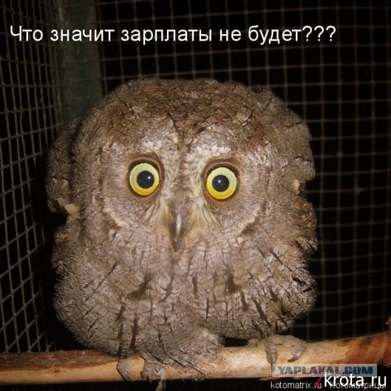 Аватары на заказ