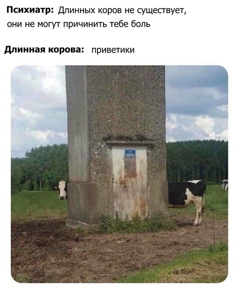 А вы слышите голоса?