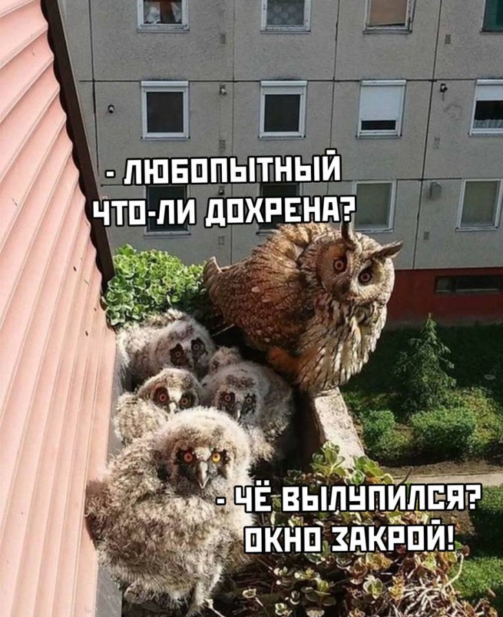 https://s00.yaplakal.com/pics/pics_original/9/9/8/13974899.jpg