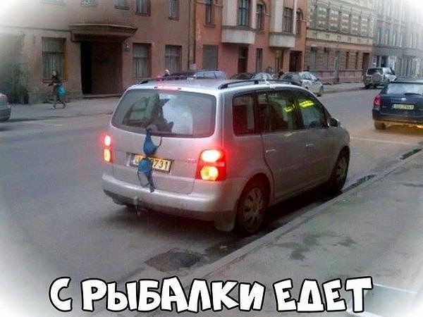 Немного картинок для настроения 20.02.20
