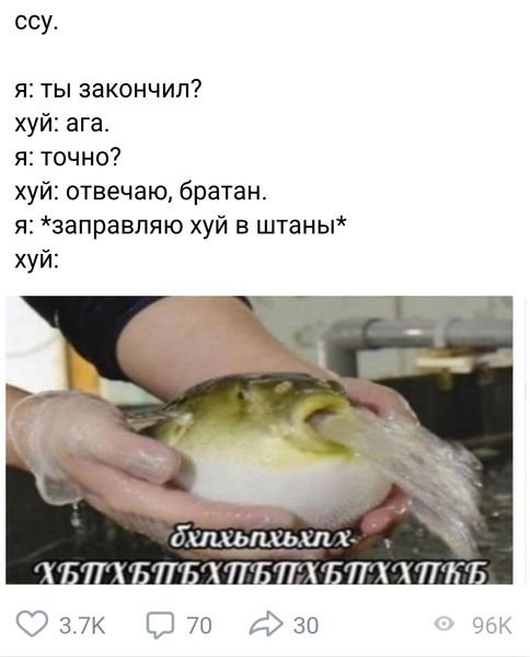 Юмор на любителя
