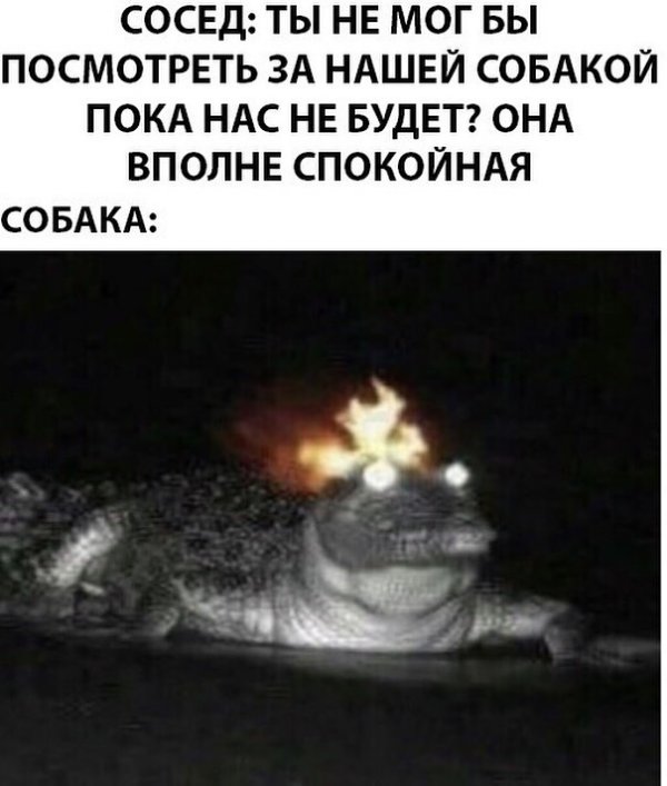 Нестандартный юмор