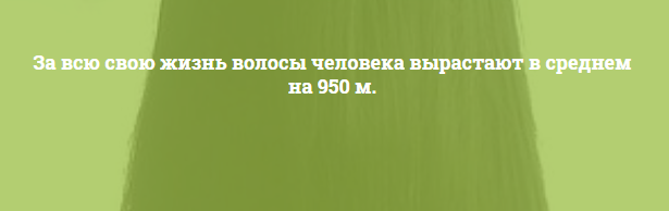 А вдруг вы не знали